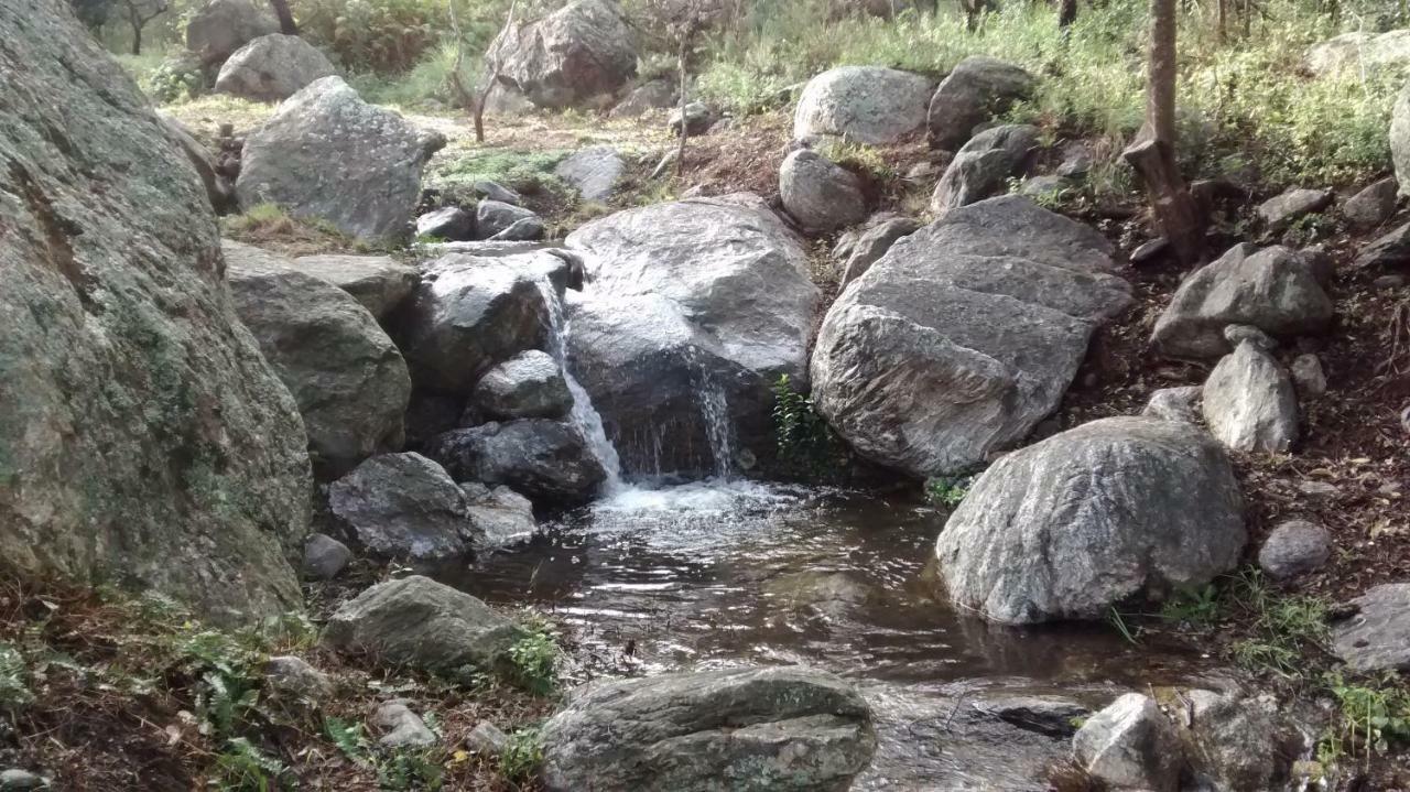 Appartamento Costa Com Departamentos De Montana Merlo Esterno foto